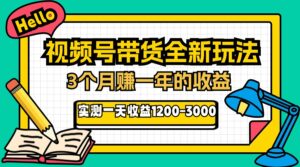 24年下半年风口项目，视频号带货全新玩法，3个月赚一年收入，实测单日… - 技研社-技研社