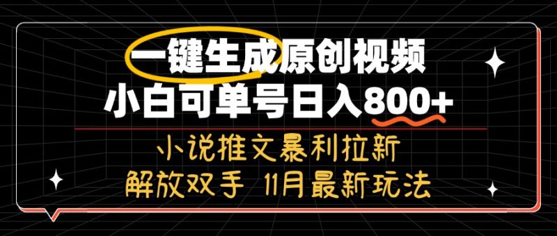 11月最新玩法小说推文暴利拉新-技研社