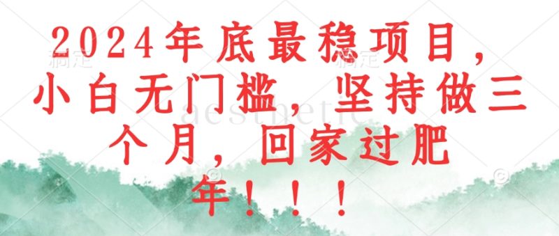 2024年底最稳项目,小白无门槛,坚持做三个月,回家过肥年!!! - 技研社-技研社
