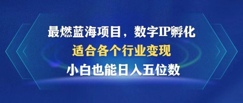 最燃蓝海项目 数字IP孵化 适合各个行业变现 小白也能日入5位数 - 技研社-技研社