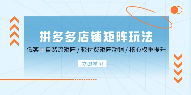 拼多多店铺矩阵玩法:低客单自然流矩阵 / 轻付费矩阵 动销 / 核心权重提升 拼多多店铺矩阵玩法:低客单自然流矩阵 / 轻付费矩阵 动销 / 核心权重提升