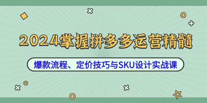 2024掌握拼多多运营精髓:爆款流程,定价技巧与SKU设计实战课-技研社