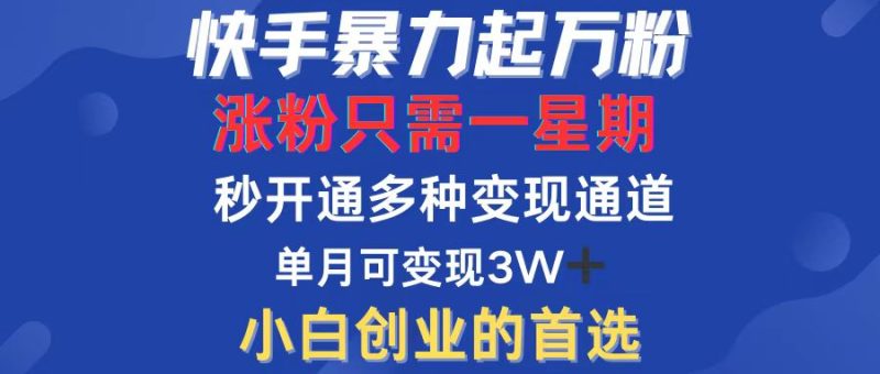 快手暴力起万粉：涨粉只需一星期，多种变现模式-技研社