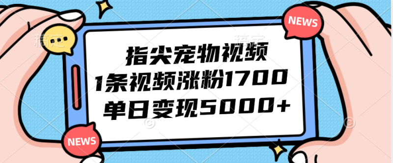 指尖宠物视频:1条视频涨粉1700,单日变现5000+-技研社