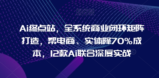 AI终点站:全系统商业闭环矩阵打造,帮电商-技研社