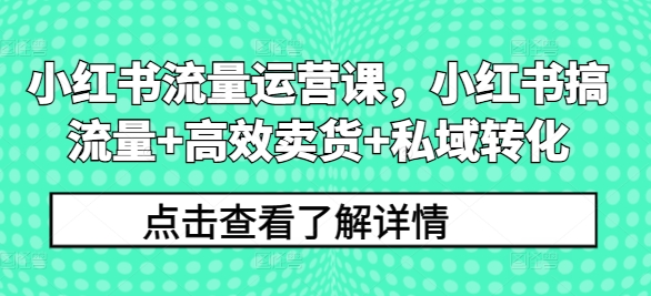 小红书流量运营课,小红书搞流量+高效卖货+私域转化 小红书流量运营课,小红书搞流量+高效卖货+私域转化