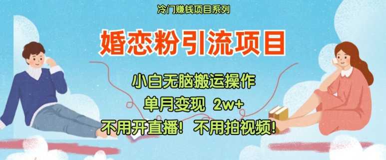 小红书婚恋粉引流:不用开直播,不用拍视频-技研社