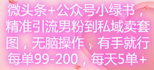 微头条+公众号小绿书:精准引流男粉到私域卖套图,无脑操作-技研社