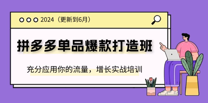 2024拼多多-单品爆款打造班(更新6月),充分应用你的流量,增长实战培训 2024拼多多-单品爆款打造班(更新6月),充分应用你的流量,增长实战培训