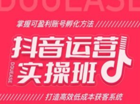 抖音运营实操班,掌握可盈利账号孵化方法,打造高效低成本获客系统 抖音运营实操班,掌握可盈利账号孵化方法,打造高效低成本获客系统