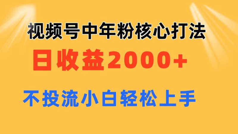 视频号中年粉核心玩法 日收益2000+ 不投流小白轻松上手 - 技研社-技研社