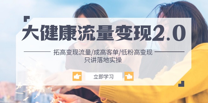 大健康 流量 变现2.0：拓高变现 流量/成高客单/低粉高变现/只讲落地实战 - 技研社-技研社