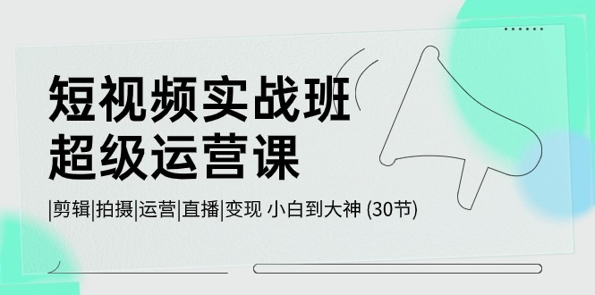 短视频实战班-超级运营课,|剪辑|拍摄|运营|直播|变现 小白到大神 (30节) 短视频实战班-超级运营课,|剪辑|拍摄|运营|直播|变现 小白到大神 (30节)