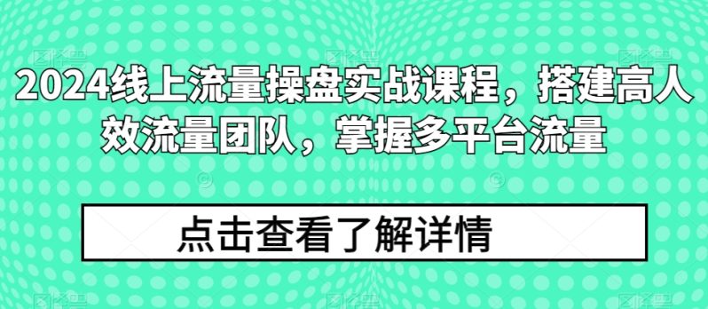 2024流量王者修炼手册-技研社