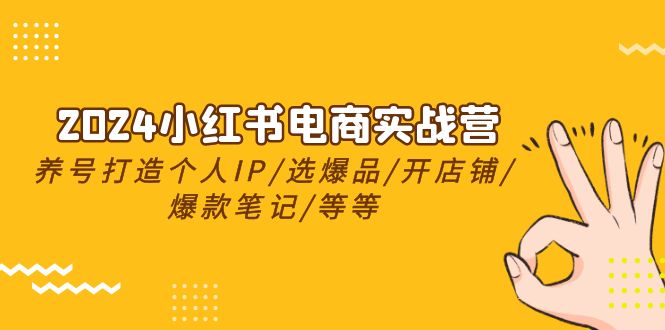 2024小红书电商实战课程,养号打造IP/选爆品/开店铺/爆款笔记/等等(24节) 2024小红书电商实战课程,养号打造IP/选爆品/开店铺/爆款笔记/等等(24节)