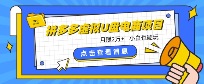 拼多多虚拟U盘电商：月赚2万+，红利项目，普通小白也能玩 - 技研社-技研社