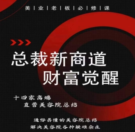 总裁新商道(美业老板必修课),通俗易懂的美容院总结,解决美容院各种疑难杂症 总裁新商道(美业老板必修课),通俗易懂的美容院总结,解决美容院各种疑难杂症