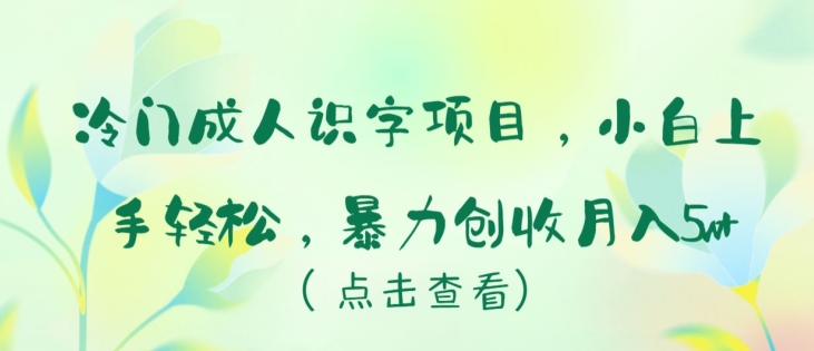 冷门项目成人识字,新手小白上手轻松,暴力创收月入5W+【揭秘】 冷门项目成人识字,新手小白上手轻松,暴力创收月入5W+【揭秘】