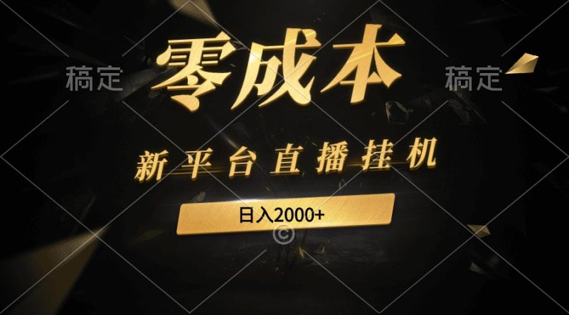 新平台直播挂机最新玩法，0成本，不违规，日入2000+ - 技研社-技研社