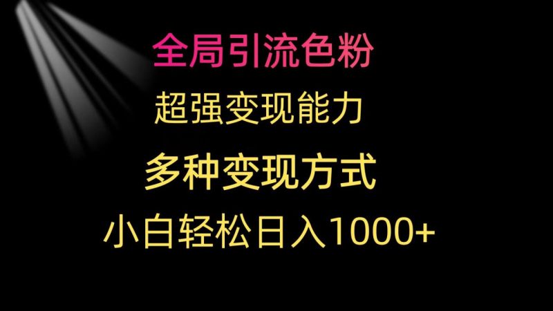 全局引流色粉 超强变现能力 多种变现方式 小白轻松日入1000+ - 技研社-技研社