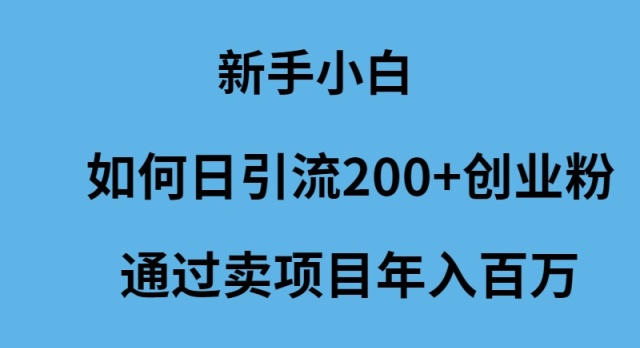 新手小白怎么样日引流200+创业粉通过卖项目年入百万 - 技研社-技研社