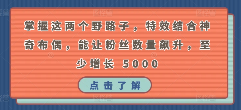 掌握这两个野路子,特效结合神奇布偶,能让粉丝数量飙升,至少增长 5000【揭秘】 掌握这两个野路子,特效结合神奇布偶,能让粉丝数量飙升,至少增长 5000【揭秘】