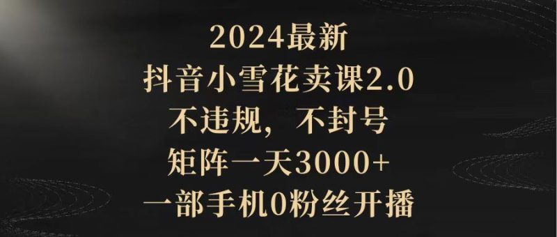 2024最新抖音小雪花卖课2.0-技研社