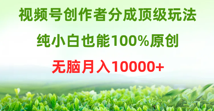 视频号创作者分成顶级玩法，纯小白也能100%原创，无脑月入10000+ - 技研社-技研社