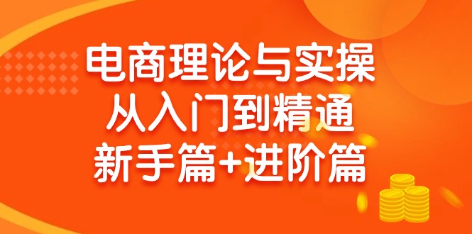 电商理论与实操从入门到精通：抖店+淘系+多多，新手篇+进阶篇 - 技研社-技研社