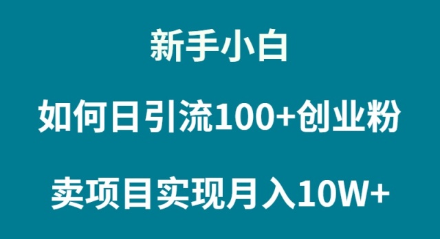 普通人小白如何通过卖项目实现月入10W+ 普通人小白如何通过卖项目实现月入10W+