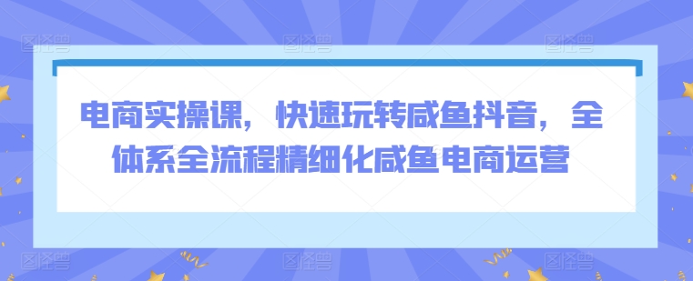 电商实操课,快速玩转咸鱼抖音,全体系全流程精细化咸鱼电商运营 电商实操课,快速玩转咸鱼抖音,全体系全流程精细化咸鱼电商运营