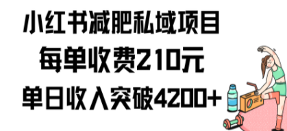 小红书减肥私域项目每单收费210元单日成交20单，最高日入4200+ - 技研社-技研社