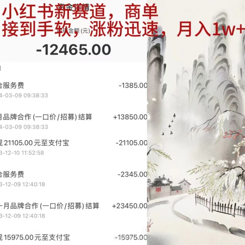 小红书新赛道，商单接到手软，涨粉迅速，月入1w+ - 技研社-技研社