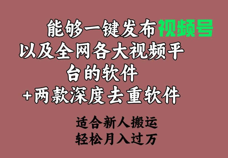 能够一键发布视频号以及全网各大视频平台的软件+两款深度去重软件 - 技研社-技研社