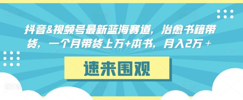 抖音&视频号最新蓝海赛道-技研社