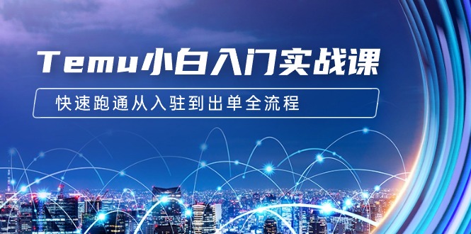 Temu小白入门实战课:跨境拼多多电商培训 快速跑通从入驻到出单全流程-12节 Temu小白入门实战课:跨境拼多多电商培训 快速跑通从入驻到出单全流程-12节