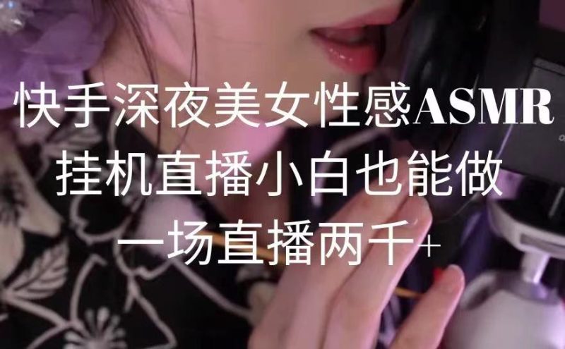 快手深夜美女狐媚ASMR挂机直播:小白也能做,一场直播两千+-技研社