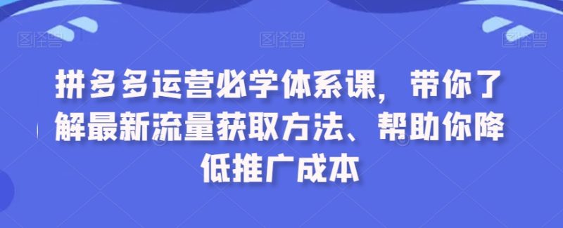 拼多多运营必学体系课程,最新流量获取方法、帮助你降低推广成本 - 技研社-技研社