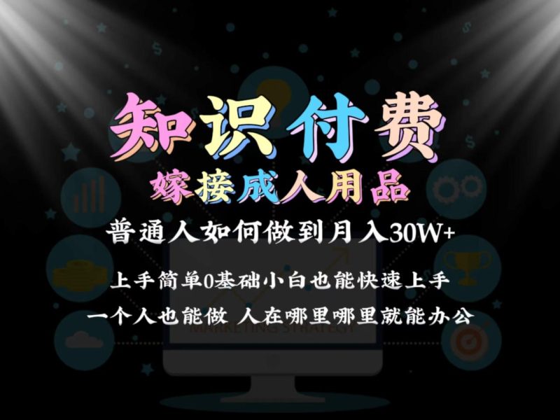 2024普通人做知识付费结合成人用品如何实现单月变现30w:保姆教学1.0-技研社