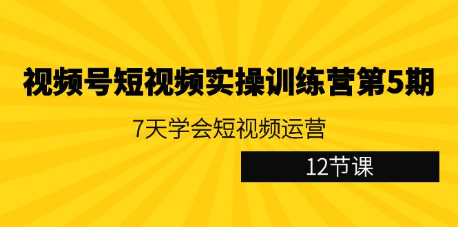 视频号短视频实操训练营第5期:7天学会短视频运营(12节课) 视频号短视频实操训练营第5期:7天学会短视频运营(12节课)