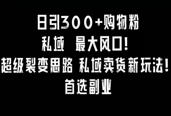 每日引300+购物粉,超级裂变新思路,私域卖货新玩法,小红书首选副业 每日引300+购物粉,超级裂变新思路,私域卖货新玩法,小红书首选副业