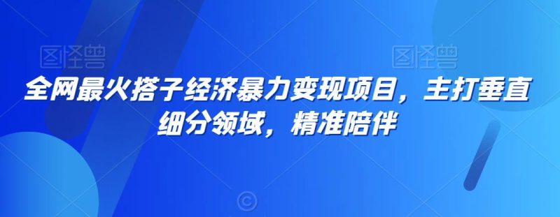 全网最火搭子经济暴力变现项目,主打垂直细分领域,精准陪伴【揭秘】 - 技研社-技研社