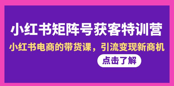 小红书矩阵号获客营-第10期，小红书电商的带货特训课，引流变现新商机 - 技研社-技研社