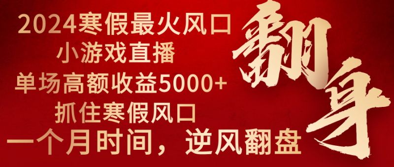 2024年最火寒假风口项目 小游戏直播 单场收益5000+抓住风口 一个月直接提车 - 技研社-技研社