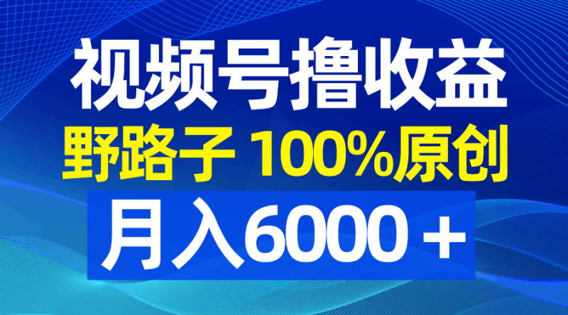 视频号野路子玩法,撸收益,100%原创,条条爆款,月入6000+ - 技研社-技研社