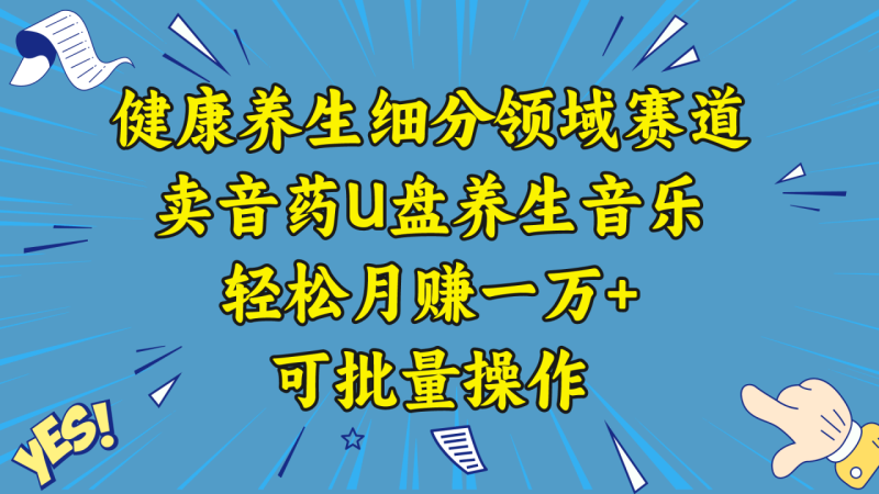 五行音乐养生:细分领域赛道卖音药U盘,打造轻松月赚一万+的健康养生项目 - 技研社-技研社