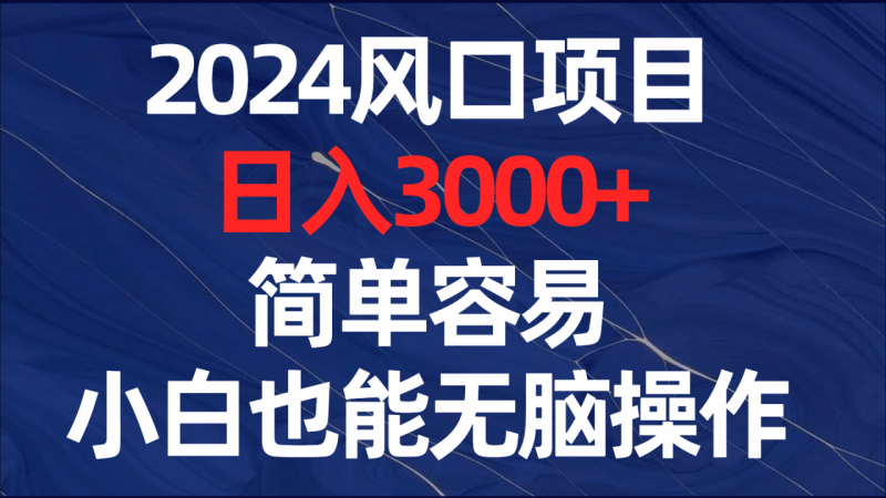 2024风口项目，日入3000+，简单容易，小白也能无脑操作 - 技研社-技研社