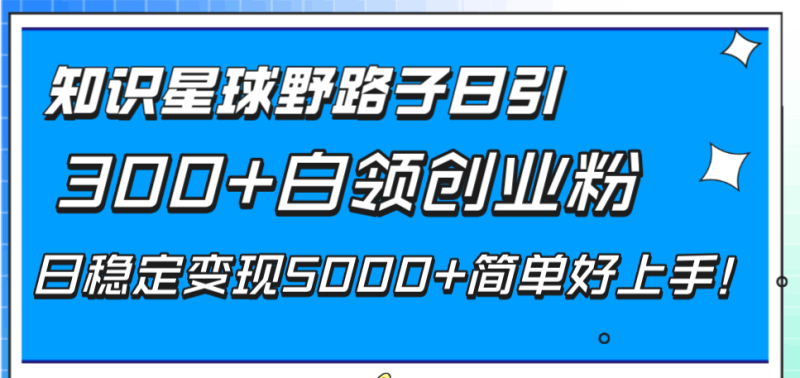 知识星球野路子日引300+白领创业粉,日稳定变现5000+简单好上手! - 技研社-技研社