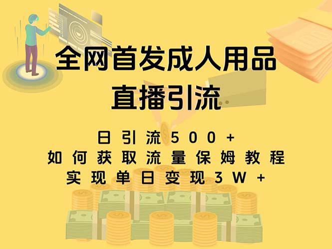 最新全网独创首发,成人用品直播引流获客暴力玩法,单日变现3w保姆级教程 最新全网独创首发,成人用品直播引流获客暴力玩法,单日变现3w保姆级教程