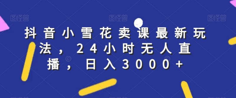 抖音小雪花卖课最新玩法，24小时无人直播，日入3000+【揭秘】 - 技研社-技研社
